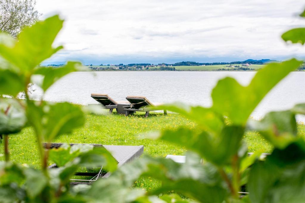 Hotel Seebrunn Am Wallersee Henndorf am Wallersee Zewnętrze zdjęcie
