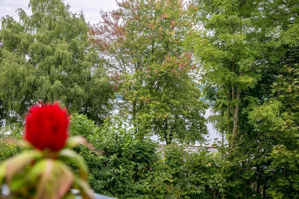 Hotel Seebrunn Am Wallersee Henndorf am Wallersee Zewnętrze zdjęcie
